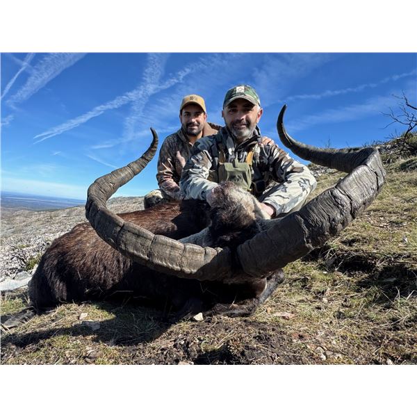 Spain Big Game Hunt for Two Hunters