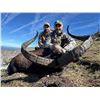 Image 1 : Spain Big Game Hunt for Two Hunters