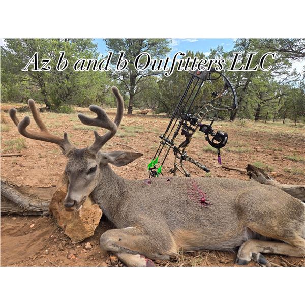 AZ B and B Outfitters 5-Day Deer Hunt in SE Arizona