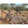 Image 1 : AZ B and B Outfitters 5-Day Deer Hunt in SE Arizona