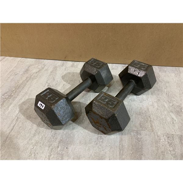 Lot of 2 Weightlifting Dumbbells 25 Pounds Each