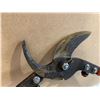 Image 7 : Stihl PL 30 Looper 2 in Cut Capacity