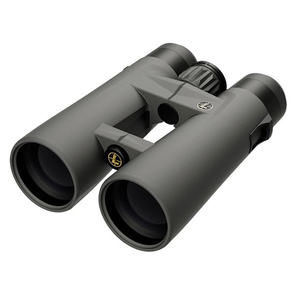 LEU BX4 PRO GUIDE HD 10X50 GEN2