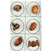Image 1 : A SMALL SELECTION OF DIV. 3 REALISTIC ANIMAL BUTTONS