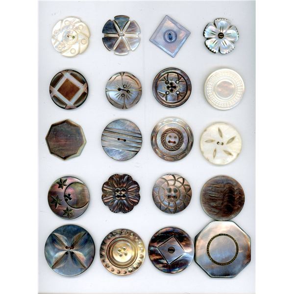 A CARD OF DIVISION ONE SHELL BUTTONS