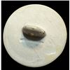 Image 3 : A DIVISION ONE PICTORIAL CERAMIC BUTTON