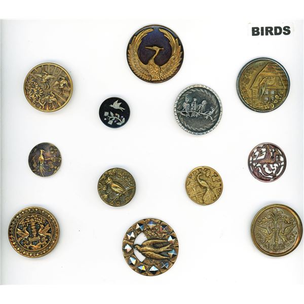 A PARTIAL CARD OF DIVISION ONE BIRD BUTTONS