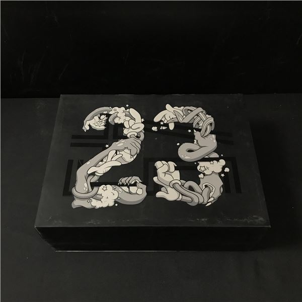 MINT IN BOX NIKE AIR JORDAN 11 RETRO SPACE JAMS (SIZE 10)