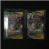 Image 1 : LOT OF 2 POKEMON SWORD & SHIELD EVOLVING SKIES SEALED ENGLISH BOOSTER PACKS
