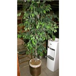 6 ft Artificial Tree