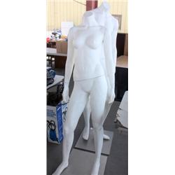 Female & Male  Mannequins