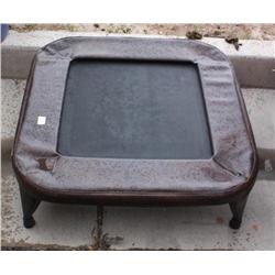 Small Trampoline