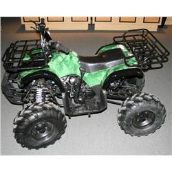 Brand New 2009 ATV 4 x 2 --125cc--4 Stroke