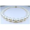 Image 11 : Exquisite Pearl & Diamond Necklace.