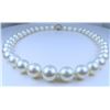Image 5 : Exquisite Pearl & Diamond Necklace.