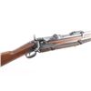 Image 10 : Springfield 1884 Trapdoor .45-70 #426120