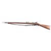 Image 2 : Springfield 1884 Trapdoor .45-70 #426120