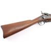 Image 9 : Springfield 1884 Trapdoor .45-70 #426120