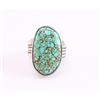 Image 1 : Navajo Spiderweb Turquoise Ring.