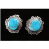Image 1 : Alex Sanchez Turquoise Earrings.