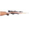 Image 8 : Anschutz / Savage 54 Sporter .22 LR #667138