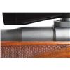 Image 5 : Mauser 98 'Sporter' .338 Win Mag NVSN