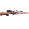 Image 9 : Mauser 98 'Sporter' .338 Win Mag NVSN
