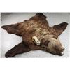 Image 1 : Alaskan Brown Bear Rug w/ Skull.