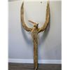 Image 1 : Large Phoenix Bird Saguaro Rib Sculpture.