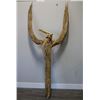 Image 2 : Large Phoenix Bird Saguaro Rib Sculpture.