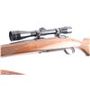 Image 4 : Ruger M77 .243 Win #73-69501