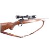 Image 7 : Ruger M77 .243 Win #73-69501