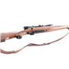 Image 8 : Ruger M77 .243 Win #73-69501