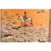 Image 2 : Beautiful, Bright Original Oil on Canvas.
