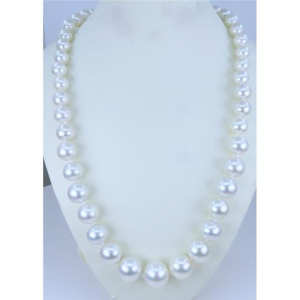 Luxurious Cultured South Sea Pearl Necklace