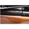 Image 6 : Winchester Model 70 .25-06 Rem #3900