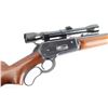 Image 7 : Winchester 71 .348 W.C.F. SN: 14315