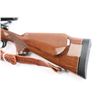 Image 3 : Remington 700 .300 Win Mag #86550662