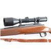 Image 4 : Remington 700 .300 Win Mag #86550662