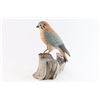 Image 3 : Beautiful Wood Carving of Sparrow Hawk.