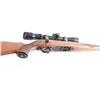 Image 7 : Ruger 77/22 .22 LR. #701-47133