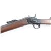 Image 4 : Remington Rollingblock 1879 43