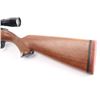 Image 3 : Ruger 10/22 .17 HM2 #120-68155