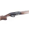 Image 9 : Armsan / Legacy Sports Pointer 20 Ga