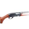 Image 8 : Remington 1100 12 Ga #290768V