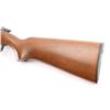 Image 3 : Remington 510 .22 Cal Smoothbore NVSN
