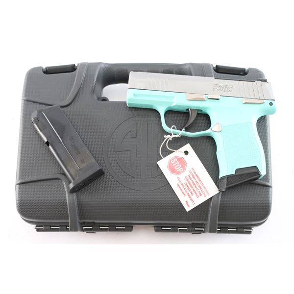 Sig Sauer P365 .380 ACP #66F750866