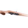 Image 7 : Ruger 10/22 .22 LR #253-29658