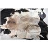 Image 3 : Lot of 3 Cow Hides.