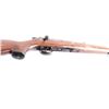 Image 7 : Norinco JW-15A .22 LR #9018842